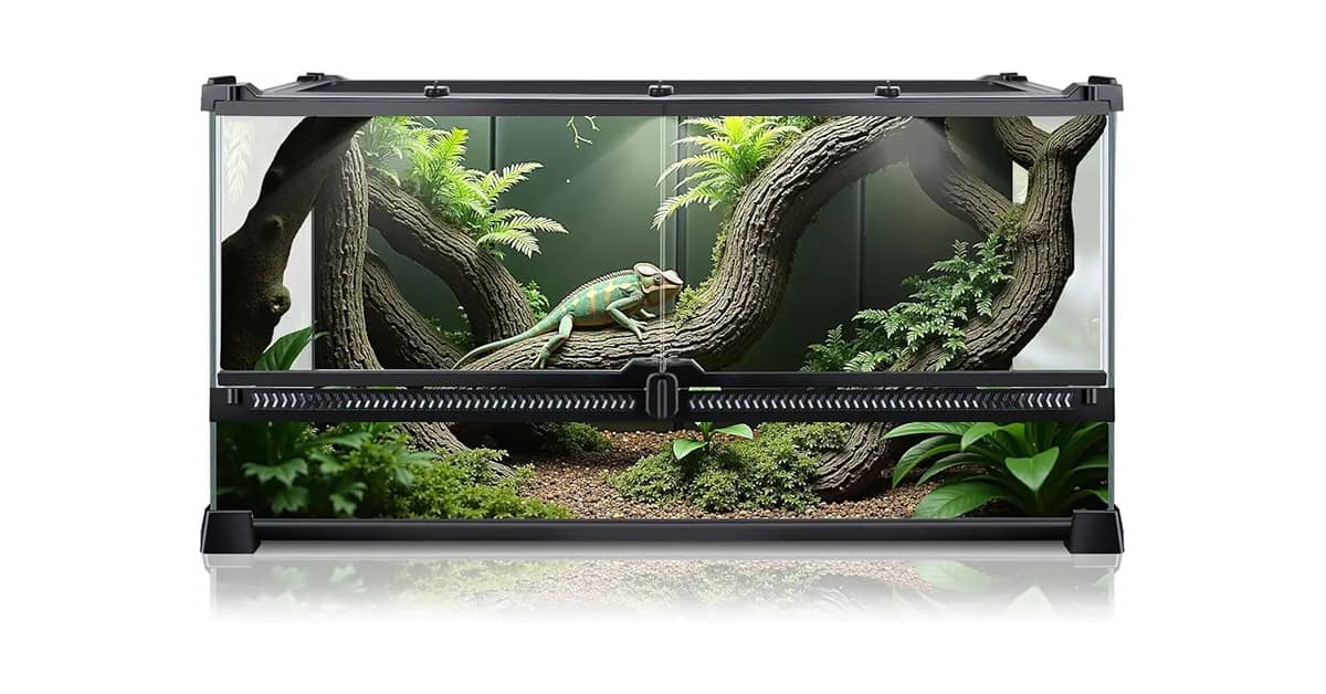 Qual o Melhor Terrário para Cobra? 10 Análises