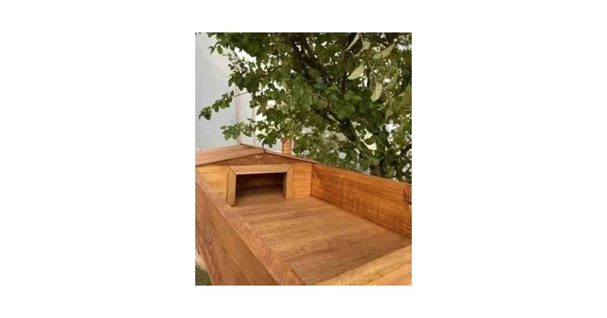 Qual o Melhor Terrário para Jabuti? Análise de 8