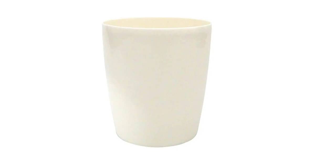 Qual o melhor vaso para orquidea e como escolher
