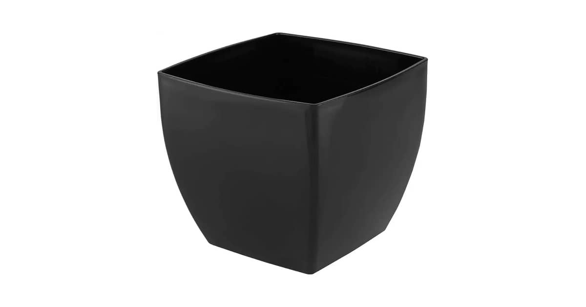 Qual o melhor vaso para rosa do deserto? [Análise]