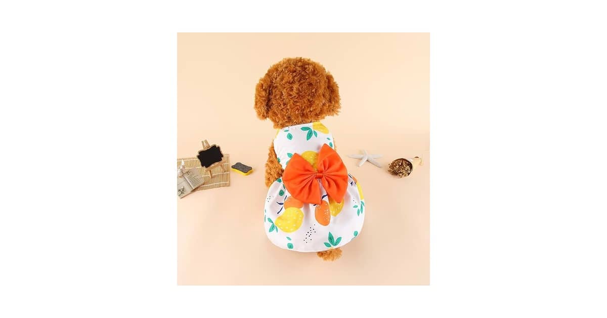 Qual o Melhor Vestido para Cadela? Guia de Estilos
