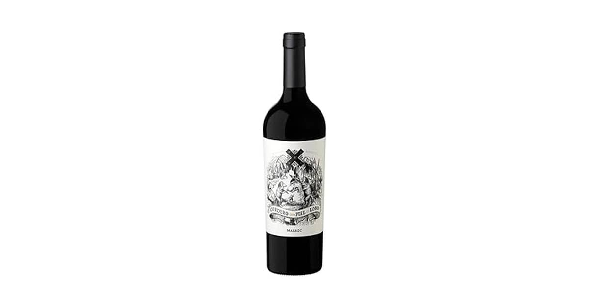 Qual o melhor vinho argentino: Guia de Uvas e Rótulos