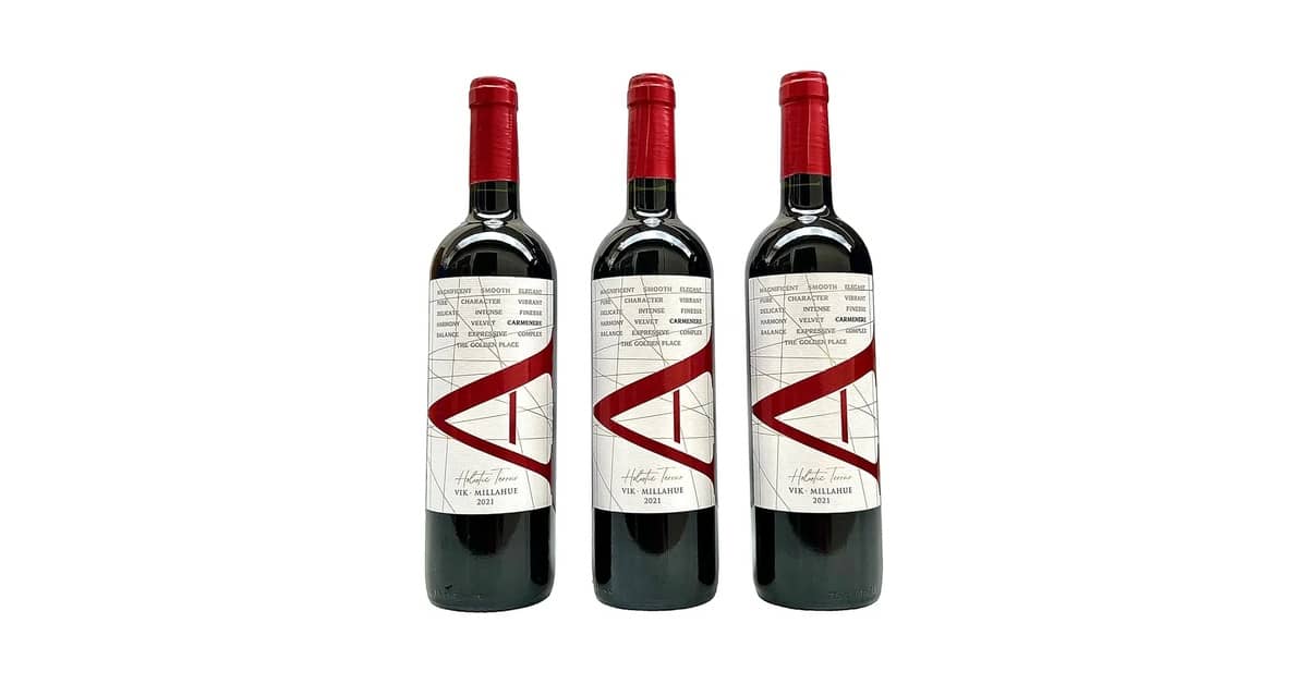 Qual o melhor vinho chileno carmenere com bom preço? Guia de 10 Rótulos