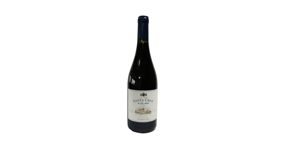 Qual o Melhor Vinho Pinot Noir p/ Cada Paladar?