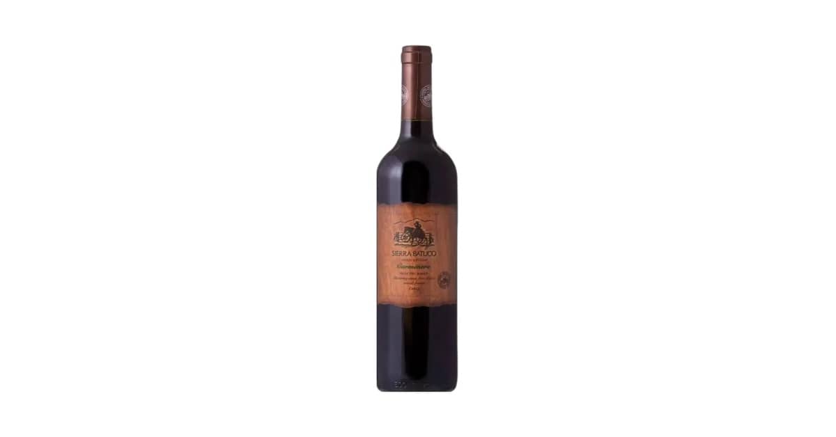 Qual o melhor vinho tinto carménère chileno? Guia