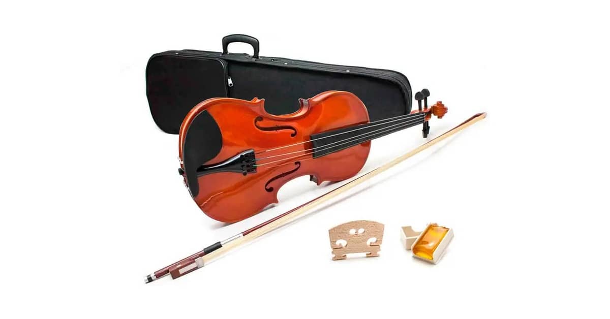 Qual o Melhor Violino Barato e Bom? Guia do Iniciante