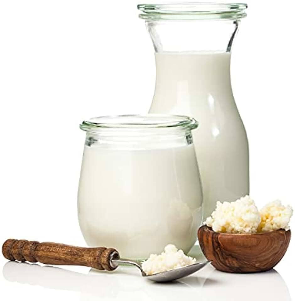 Kefir de Leite e 2x Iogurte Infinito Com Assesoria Para Cultivo e Criação