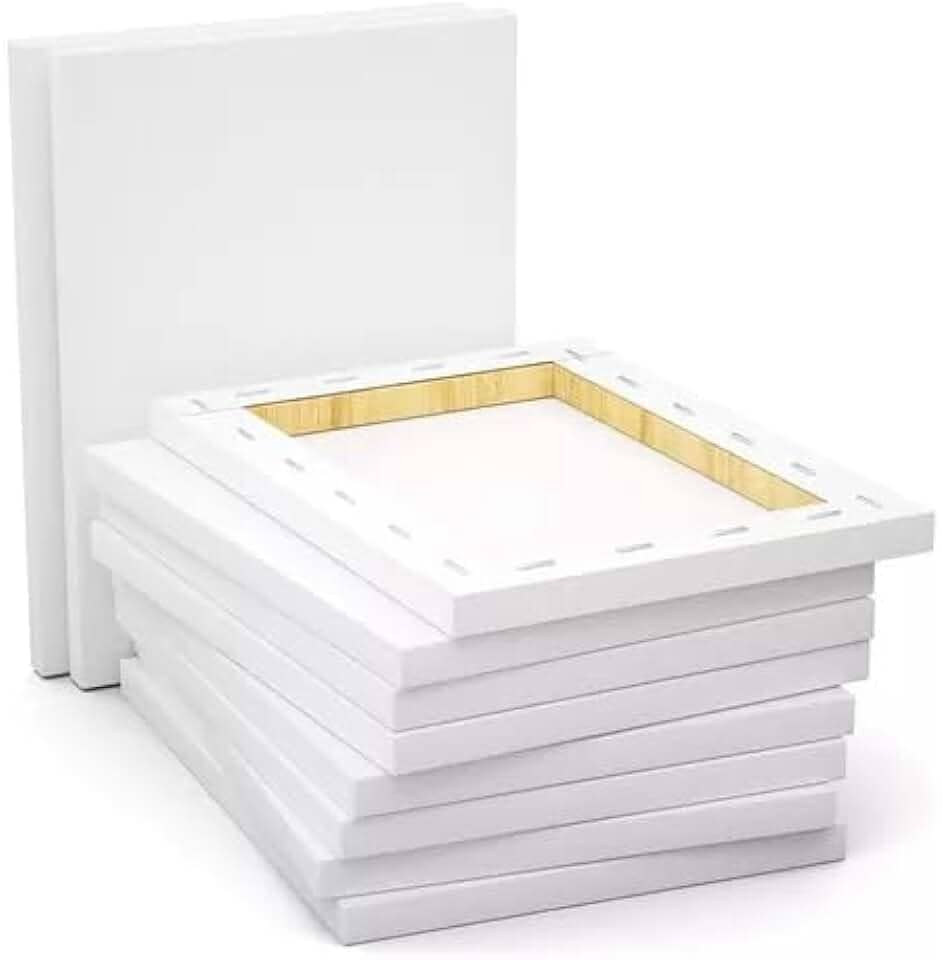 Tela de Pintura 20x30