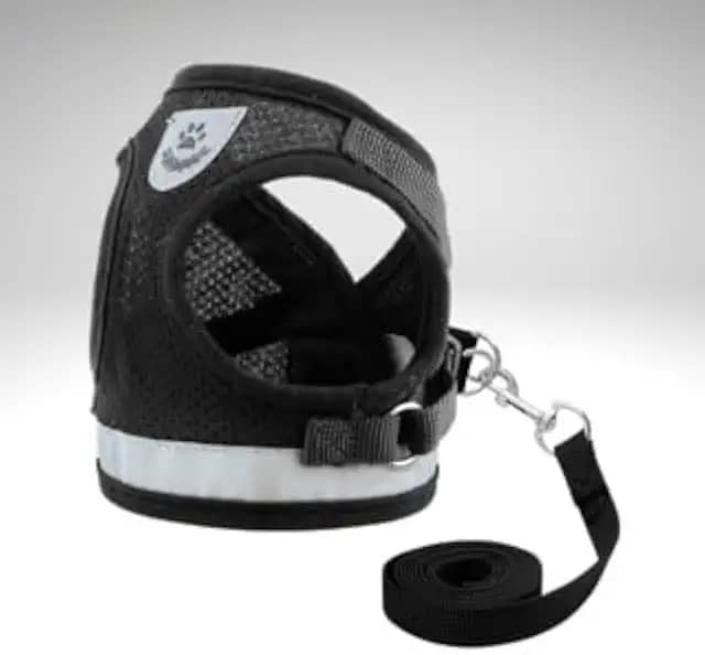 Coleira Pet Peitoral Refletível Com Guia para Cães Regulável Confortável para Cachorro (XL (GG), Preto)