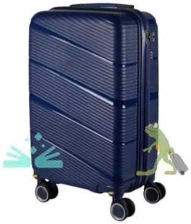 Mala De Bordo Polipropileno Padrão Anac 10kgs Maldivas Leste (AZUL ESCURO)