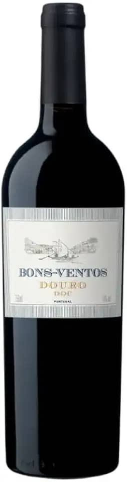 Vinho Bons Ventos Douro Tinto 750ml
