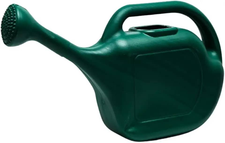 Regador 10 Litros Plantas Jardim Verde/Preto (1 Unidade)