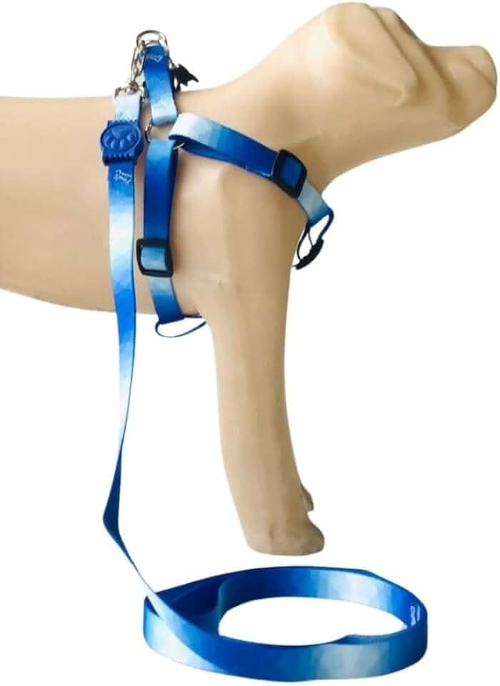 Conjunto Peitoral Coleira com Guia para Cachorros com Pingente para Identificação PP, Tamanho Ajustável, Confortável e Resistente