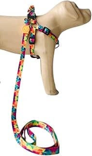 Conjunto Peitoral Coleira com Guia para Cachorros com Pingente para Identificação PP, Tamanho Ajustável, Confortável e Resistente