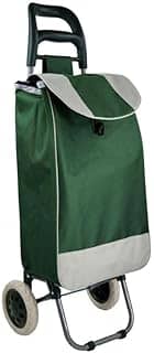 Carrinho de Compras com Bolsa Térmica | Suporta 30kg e Dobrável | Ideal para Feira, Supermercado e Compras Diárias |(VERDE)