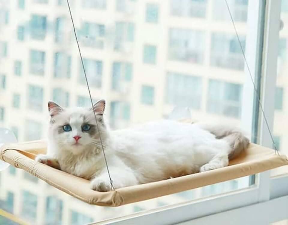 cama suspensa DE JANELA CAMINHA para gatos com ventosas janelas rede sacada pet cat