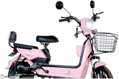 Bicicleta Elétrica 600W, Motor Potente, Velocidade Máxima 32 km/h, Painel Digital, Banco Duplo com Encosto, Rodas Aro 14", Freio a Tambor, Capacidade 150 kg, Autonomia até 25 km