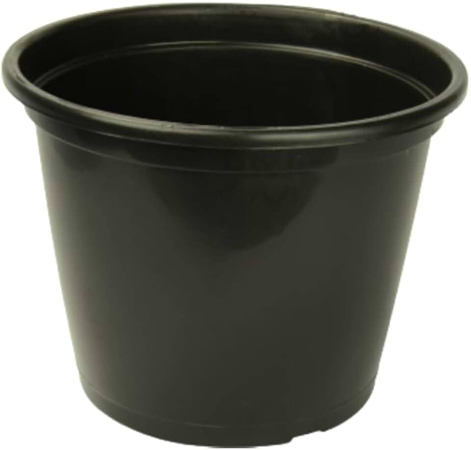 Kit 5 Vasos Pote 20 De 3 Litros Para Orquídeas E Plantas