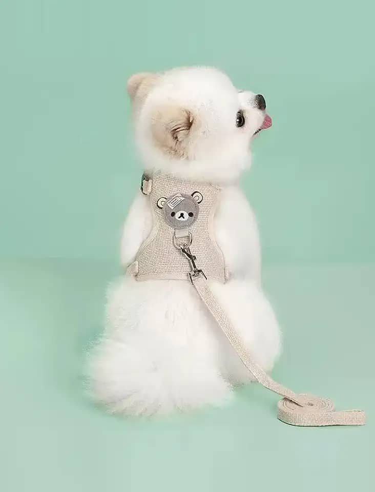 Peitoral e coleira para cães e gatos, colete macio com corda, peitoral ajustável para passear, apenas para cães pequenos e gatos, tamanho P, branco