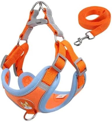 Coleira Ajustável para Cachorro com Peitoral e Guia, Laranja e Azul, Tamanho Médio