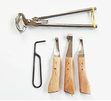 Conjunto Ferrador Casqueamento Cavalo + Torquesa Torques