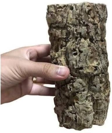 Tronco Oco para Orquideas e Terrarios