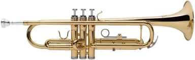 Trompete em Bb (si Bemol) Michael Essence Wtrm30n
