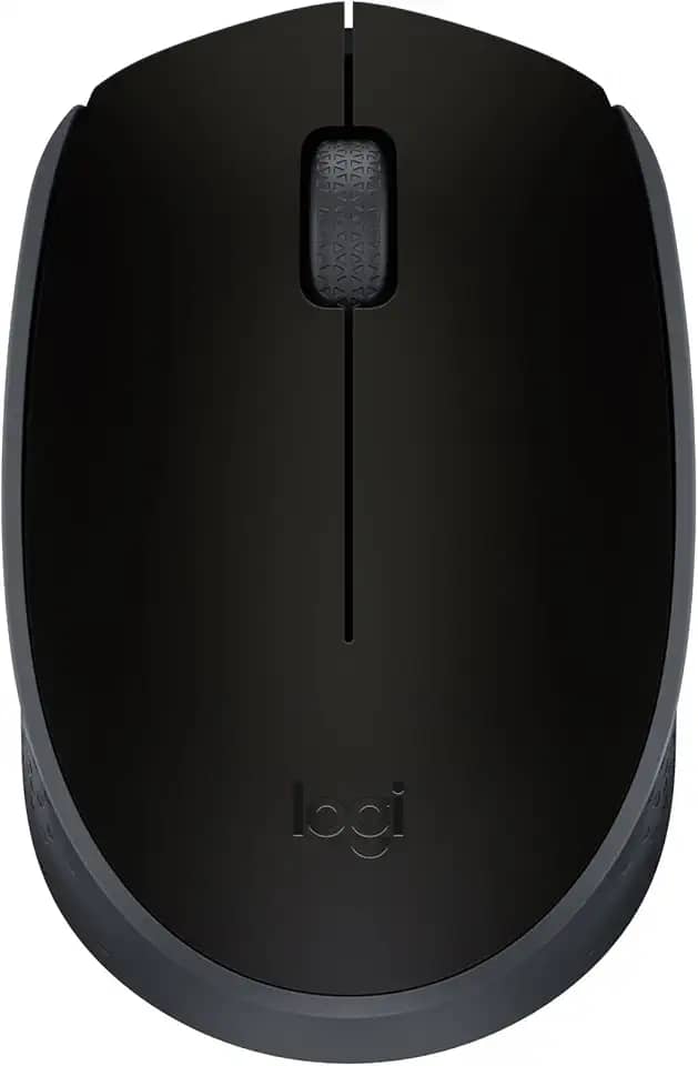 Mouse sem fio Logitech M170 com Design Ambidestro Compacto, Conexão USB e Pilha Inclusa - Preto