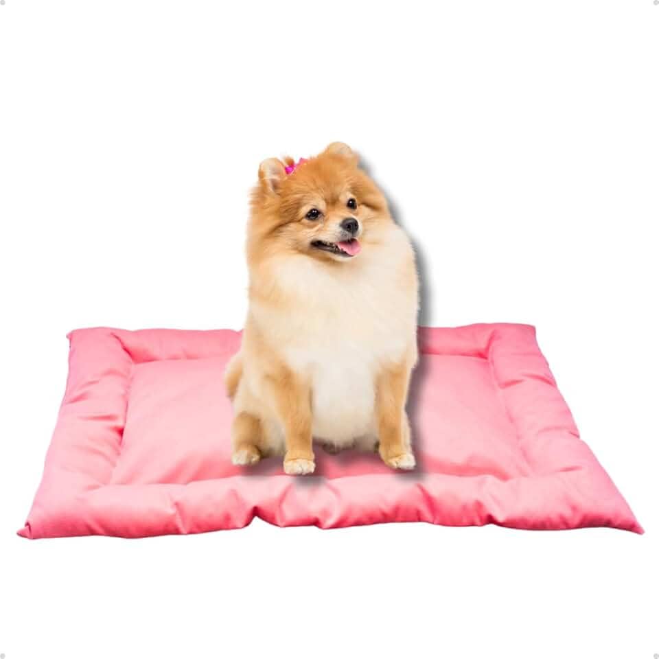 Cama Caminha Colchonete Rosa Pequeno 70x50cm para Cachorro e Gato de Suede Lavável Almofada Pet Macia Confortável