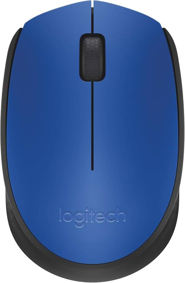 Mouse sem fio Logitech M170 com Design Ambidestro Compacto, Conexão USB e Pilha Inclusa - Azul