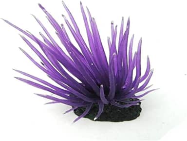 SOMA - Enfeite de Silicone Anemona Long Tentacle ROXA