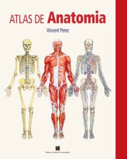 Atlas de Anatomia