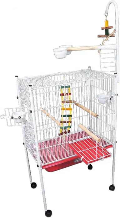 Viveiro de Arame Papagaio Gaiola Grande Escadinha