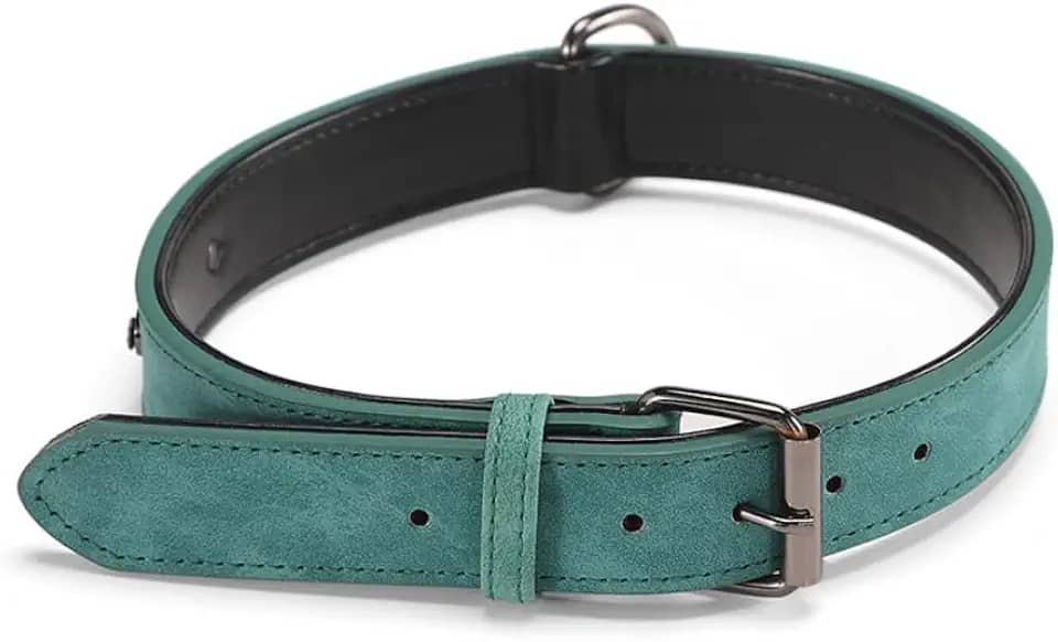 Coleira Ajustável Com Dupla Espessura Reforçada Confortável Para Cachorro Grande Médio Pequeno Porte(Verde,M (2,0cm))