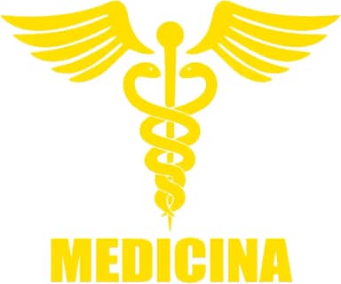 Adesivo Profissão Medicina para Estudantes e Médicos Ideal para notebook carro portas vidros Paredes vários tamanhos (AMARELO, 12X10cm)