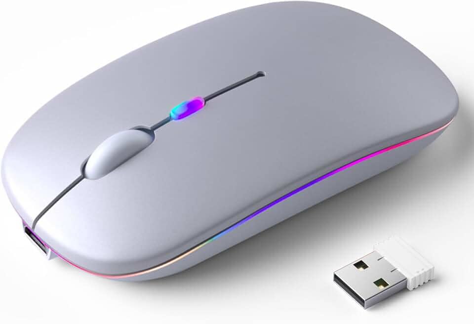 Mouse Sem Fio Recarregável, Ergonômico, com Led RGB, Conexão Dual Bluetooth 5.0/USB 2.4GHz, DPI Ajustável, perfeito para Notebook, Laptop,PC, Desktop, Silencioso (Prata)