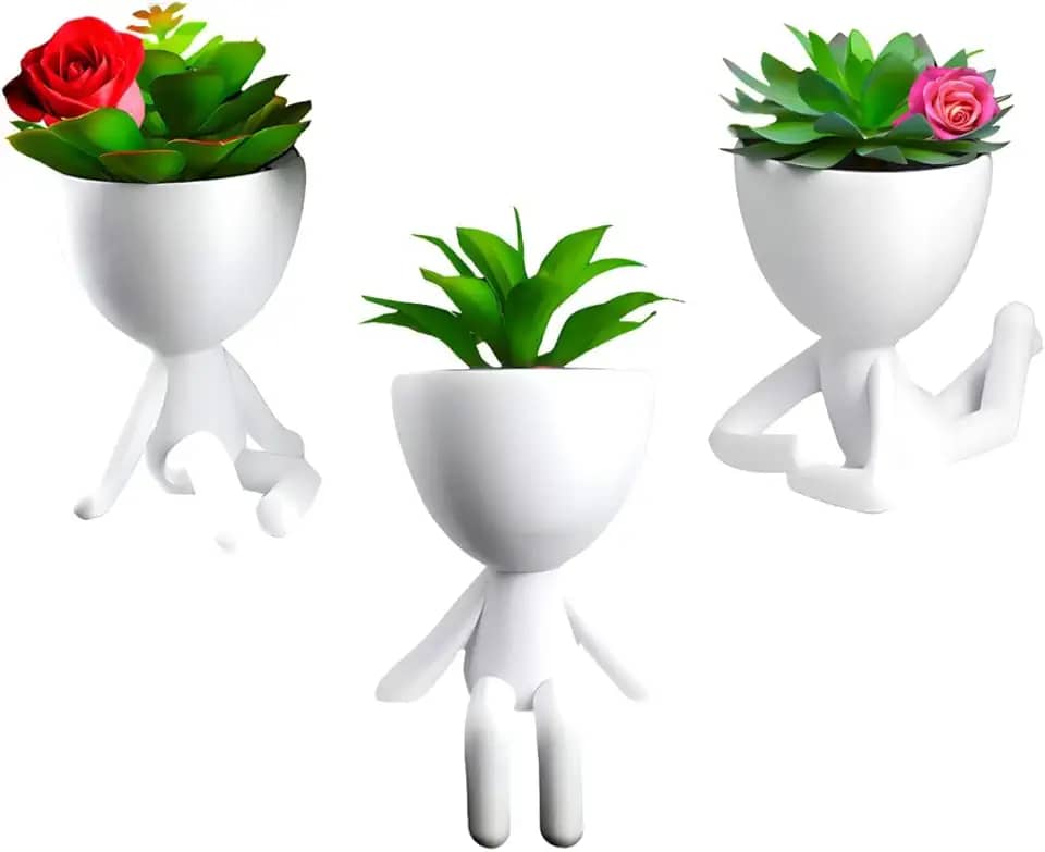 Kit Vasinhos 3 Decorativos Bob Suculenta