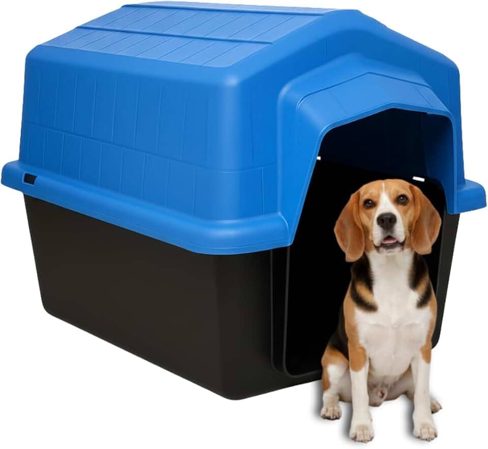 Casinha Plástica Grande Cachorro Grande N5 Uso Externo Interno Caminha | Proteção UV | Raças Pequenas Médias Grandes Até 22kg (Azul)