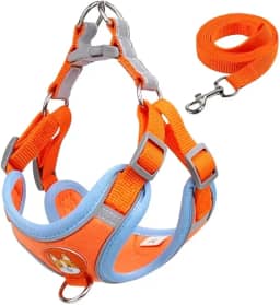 Coleira Peitoral para Cachorros e Gatos, Design Ergonômico, Faixa Reflexiva, Com Guia de Passeio (Laranja, G)