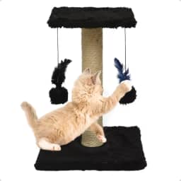 Arranhador Para Gatos Pet Poste Duplo Preto Sisal Brinquedo Com Bolinha Pena Duas Bases Carpete Anti Stress Anfia Unhas