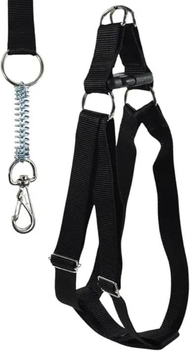 Coleira com Peitoral Americano GG para Cães Grandes Ajustável Diminui Trancos e Puxões Cor Preta