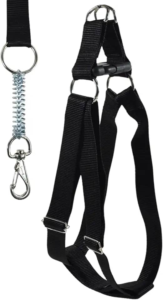 Coleira com Peitoral Americano GG para Cães Grandes Ajustável Diminui Trancos e Puxões Cor Preta