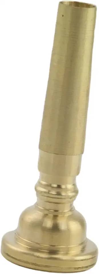 Dynwave Bocal de Trompete Conveniente para Instrumentos de para Homens E Adultos