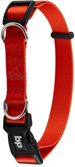 Basic Pet Coleira Para Cachorro Cães Premium Tamanho Porte Grande Médio Pequeno (Vermelho, M)