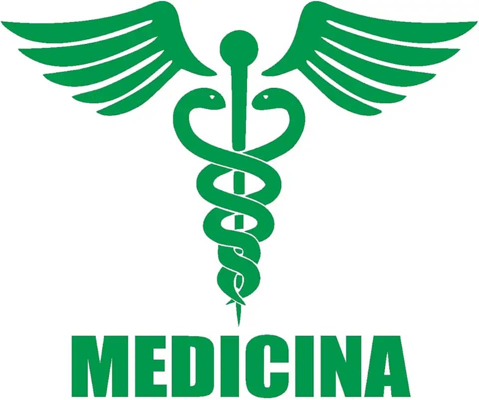 Adesivo Profissão Medicina para Estudantes e Médicos Ideal para notebook carro portas vidros Paredes vários tamanhos (VERDE, 12X10cm)