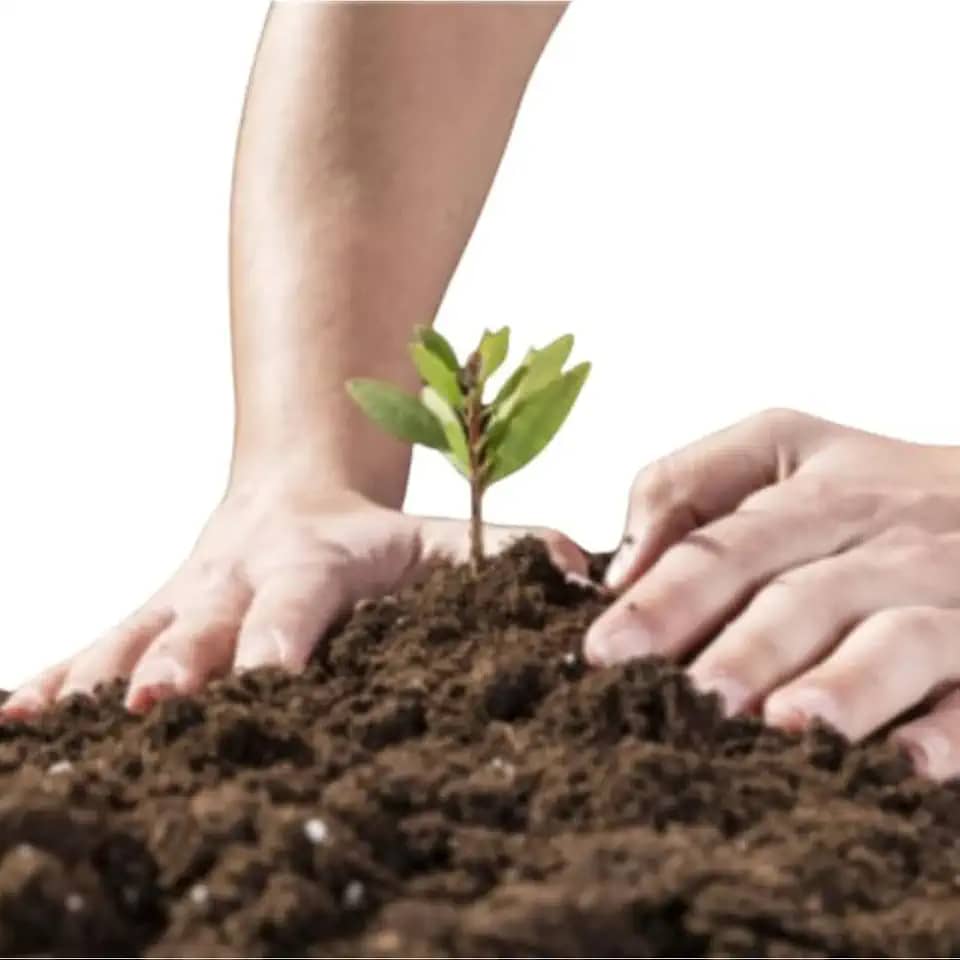 10 kg Terra Adubada para Plantas, Substrato Fértil para Jardinagem