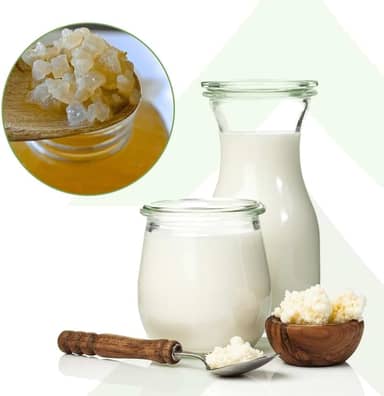 Kit Kefir de Leite + Kefir de Agua + Iogurte Infinito Probioticos Mudas Grãos Com Assessoria