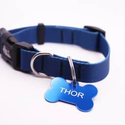 Coleira Cachorro Yoo Pets e Plaqueta Identificação Nome e Telefone PETS (PP (21 a 30 cm))