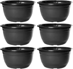 Kit 20 Vaso Cuia Para Produtor De Rosa Do Deserto Cacto e Suculenta 2,9 Litros de Plástico Reciclado Preto Nutriplan