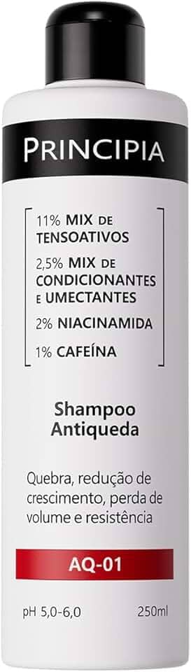SHAMPOO ANTIQUEDA PRINCIPIA